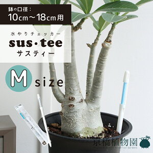 【3号鉢〜6号鉢用】sustee(サスティー)/Mサイズ【水やりチェッカー】【水分計】