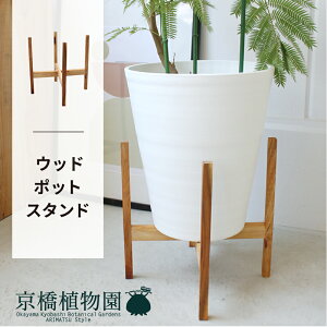 yubNtCf[N[|LIzEbh|bgX^hy26pzy6E7pJo[Ή/AJVA/ϗtAz