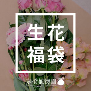 y1P7{Izԕ܁y؂15{ȏz