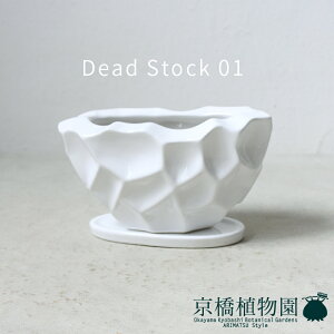 y}\N[|LIzDead Stock 01y픫/󂯎Mtzy/zCg/fbhXgbN/@oz