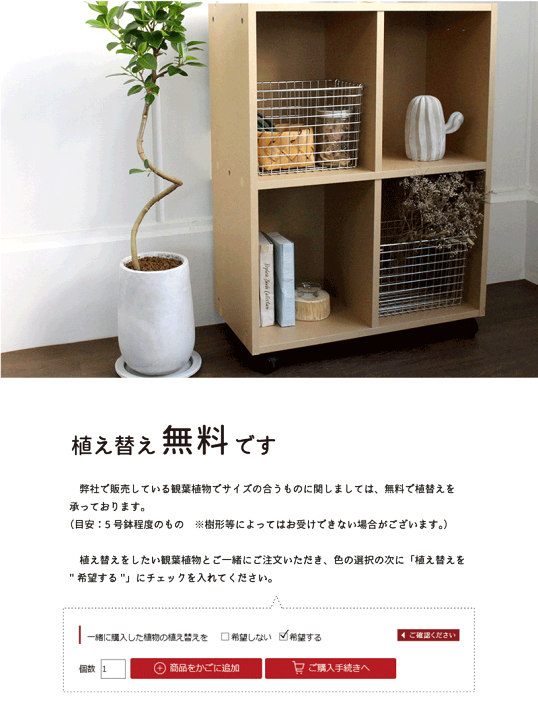 楽天市場】【マラソンクーポンあり】【モルタル製植木鉢】マルモ