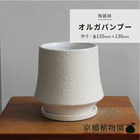 【陶器鉢】オルガバンブー 【受け皿セット】【ミュールミル】【ホワイト】