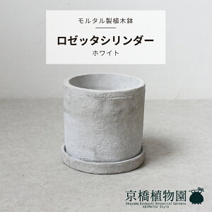 yZg/Aؔz[b^V_[@zCgy󂯎MZbgzy~[~zy/zCg/O[/DF/^z