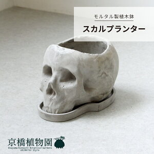 【マラソンクーポン有】【モルタル製植木鉢】スカルプランター【受け皿セット】【ラライワント】【灰色/グレー/セメント】【植木鉢】