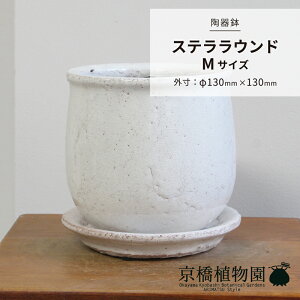 �y���픫�z�X�e�����E���h�@M�T�C�Y�y�󂯎M�Z�b�g�z�y�~���[���~���z�y���z�y�z���C�g�z�y�A�ؔ��z