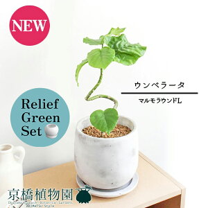 y5P5{IzySSN[|zySSizy[tO[Zbgzy}EhLzEx[^@Ȃy󂯎Mtz4G×KW}y픫/󂯎Mtzy2Zbgz