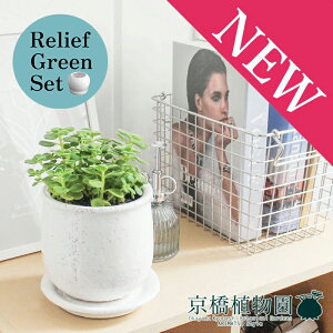 y30P5{Izy}\N[|Lzy[tO[ZbgzyXeEhFMTCY/픫zn[u A}eBJXy󂯎Mtz×KW}y픫/󂯎Mtzy2Z