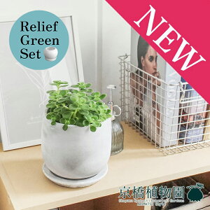 y30P5{Izy}\N[|Lzy[tO[Zbgzy}EhSTCY/󂯎Mtzn[u A}eBJX×KW}y픫/󂯎Mtzy2Zbgz