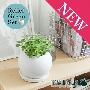 y30P5{Izy}\N[|Lzy[tO[Zbgzy픫zn[u A}eBJXy󂯎Mtz×KW}y픫/󂯎Mtzy2Zbgz