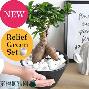 yubNtCf[N[|LIzy[tO[ZbgzKW}@7@ZA[g ×tXS@Ȃy픫/󂯎Mtzy2Zbgz