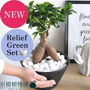 yubNtCf[N[|LIzy[tO[ZbgzKW}@7@ZA[g@×TXxAy픫/󂯎Mtzy2Zbgz