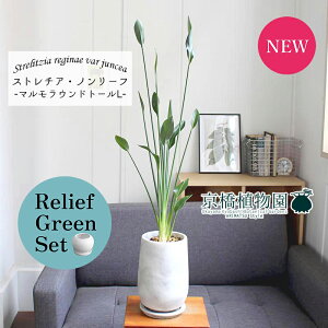 y[tO[Zbgzy}Ehg[LTCYzXg`A/Xg`AEm[tiPAjy󂯎Mtz×KW}y픫/󂯎Mtzy2Zbgz