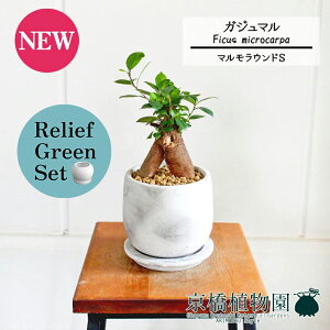 y1P7{zy[tO[Zbgzy}EhSzKW}y󂯎Mtz3.5G×KW}y픫/󂯎Mtzy2Zbgz