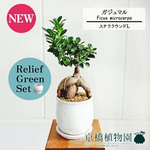 y30P5{Izy[tO[ZbgzyXeEhFLTCY/픫zKW}y󂯎Mtz7G×KW}y픫/󂯎Mtzy2Zbgz