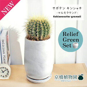 y5P5{IzySSN[|zy[tO[Zbgzy}Ehg[LTCYzT{e ́iLV`jy󂯎Mtz5G×KW}y픫/󂯎Mtzy2Zb