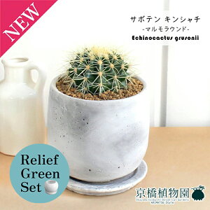 y30P5{Izy}\N[|Lzy[tO[Zbgzy}EhMTCYzT{e ́iLV`jy󂯎Mtz4G×KW}y픫/󂯎Mtzy2Zb