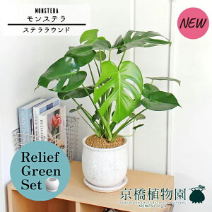 ySSN[|zy[tO[ZbgzyXeEhFLTCY/픫zXe y󂯎Mtz5G×KW}y픫/󂯎Mtzy2Zbgz