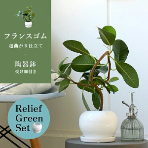 y10P5{IzySSN[|zy[tO[Zbgzy픫ztXS@Ȃ y󂯎Mtz×KW}y픫/󂯎Mtzy2Zbgz