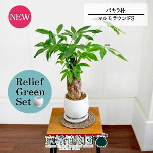 【30日はP5倍!】【マラソンクーポン有】【リリーフグリーンセット】【マルモラウンドS】パキラ 朴 5G×ガジュマル【陶器鉢/受け皿付き】【2鉢セット】