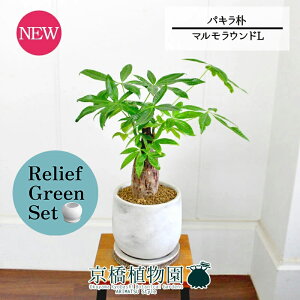 【30日はP5倍!】【マラソンクーポン有】【リリーフグリーンセット】【マルモラウンドL】パキラ 朴 5G×ガジュマル【陶器鉢/受け皿付き】【2鉢セット】