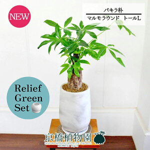 y30P5{Izy}\N[|Lzy[tO[Zbgzy}Ehg[LTCYzpL@p@5G×KW}y픫/󂯎Mtzy2Zbgz