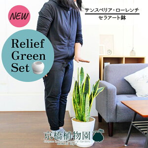 y30P5{Izy}\N[|Lzy[tO[ZbgzyZA[gzTXxAE[`@7@×KW}y픫/󂯎Mtzy2Zbgz