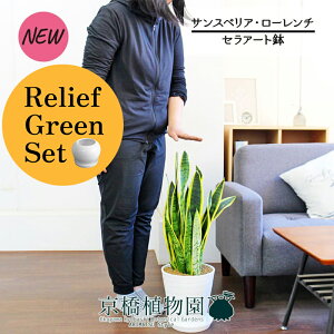 yubNtCf[N[|LIzy[tO[ZbgzyZA[gzTXxAE[`@7@×tXS@Ȃy픫/󂯎Mtzy2Zbgz