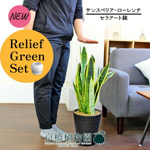 y[tO[ZbgzyZA[gzTXxAE[`@7@×tXS@Ȃy픫/󂯎Mtzy2Zbgz