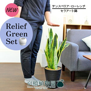 y[tO[ZbgzyZA[gzTXxAE[`@7@×TXxAy픫/󂯎Mtzy2Zbgz