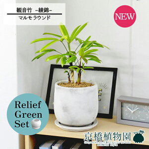 y30P5{Izy}\N[|Lzy[tO[Zbgzy}EhLzω|iJm`Nj -- 4G×KW}y픫/󂯎Mtzy2Zbgz