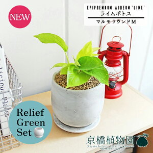 y1P7{zy[tO[Zbgzy}EhMzC|gXy󂯎Mtzpot×KW}y픫/󂯎Mtzy2Zbgz