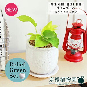 y1P7{zy[tO[ZbgzyXeEhFMTCY/픫zC|gXy󂯎Mtzpot×KW}y픫/󂯎Mtzy2Zbgz