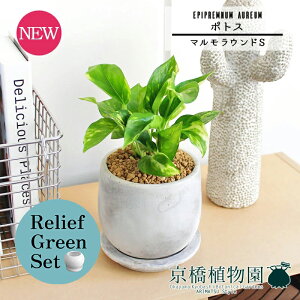 ySSN[|zySSizy[tO[Zbgzy}EhSz|gXy󂯎Mtzpot×KW}y픫/󂯎Mtzy2Zbgz