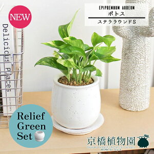 y30P5{Izy[tO[ZbgzyXeEhFSTCY/픫z|gXy󂯎Mtzpot×KW}y픫/󂯎Mtzy2Zbgz