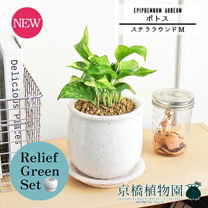 ySSN[|zySSizy[tO[ZbgzyXeEhFMTCY/픫z|gXy󂯎Mtzpot×KW}y픫/󂯎Mtzy2Zbgz