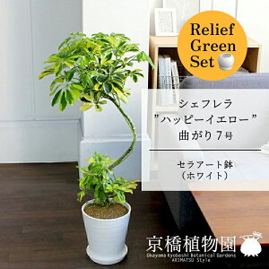 y25P5{IzyubNtCf[N[|LIzy[tO[ZbgzyZA[gFzCgzVFtenbs[CG[f@Ȃ7@×tXS@Ȃy