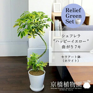 y25P5{IzyubNtCf[N[|LIzy[tO[ZbgzyZA[gFzCgzVFtenbs[CG[f@Ȃ7@×TXxAy픫/