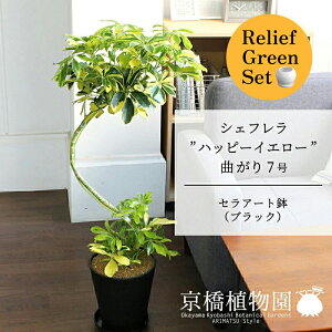 y25P5{IzyubNtCf[N[|LIzy[tO[ZbgzyZA[gFubNzVFtenbs[CG[f@Ȃ7@×tXS@Ȃy