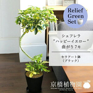 y30P5{Izy[tO[ZbgzyZA[gFubNzVFtenbs[CG[f@Ȃ7@×TXxAy픫/󂯎Mtzy2Zbgz