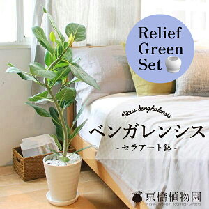 y25P5{IzyubNtCf[N[|LIzy[tO[ZbgztBJXExKVXEI[h[ 7yZA[gz@×TXxAy픫/󂯎Mtzy2