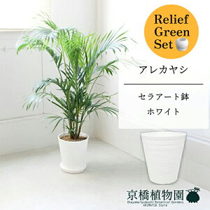 ySSN[|zySSizy[tO[ZbgzyZA[gFzCgzAJV@7@6G@×tXS@Ȃy픫/󂯎Mtzy2Zbgz