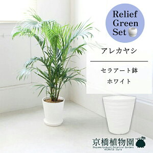 y5P5{IzySSN[|zy[tO[ZbgzyZA[gFzCgzAJV@7@6G@@×TXxAy픫/󂯎Mtzy2Zbgz