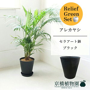 ySSN[|zySSizy[tO[ZbgzyZA[gFubNzAJV@7@6G@×tXS@Ȃy픫/󂯎Mtzy2Zbgz