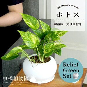 y10P5{IzySSN[|zy[tO[Zbgz|gXy󂯎Mtz×KW}y픫/󂯎Mtzy2Zbgz