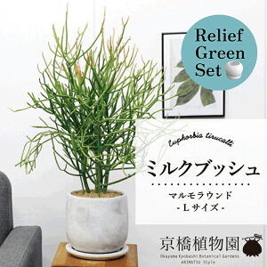 ySSN[|zySSizy[tO[Zbgzy}EhLTCYz~NubVy󂯎Mtz×KW}y픫/󂯎Mtzy2Zbgz