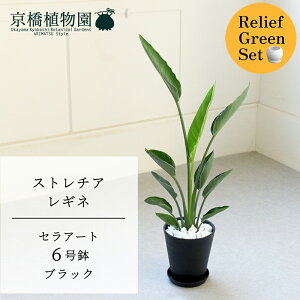 y[tO[ZbgzXg`A/Xg`AEMl@6 5GyZA[g@ubNz×tXS@Ȃy픫/󂯎Mtzy2Zbgz