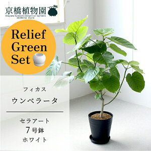 y30P5{Izy}\N[|Lzy[tO[ZbgzyZA[g^ubN ztBJX@Ex[^ @7y󂯎Mtz×tXS@Ȃy픫/󂯎Mt