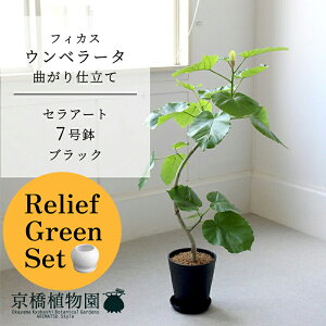 y30P5{Izy[tO[ZbgzyZA[g^ubN ztBJX@Ex[^@Ȃ@7@×tXS@Ȃy픫/󂯎Mtzy2Zbgz