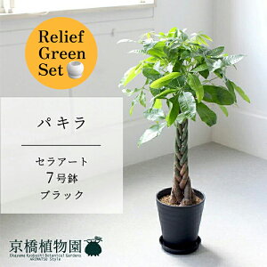 y[tO[ZbgzyZA[g^ubN zpL@7y󂯎Mtz×tXS@Ȃy픫/󂯎Mtzy2Zbgz