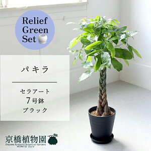 y[tO[ZbgzyZA[g^ubN zpL@7y󂯎Mtz×TXxAy픫/󂯎Mtzy2Zbgz